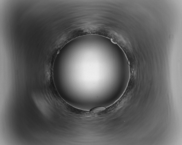 X0000099981012200805301349