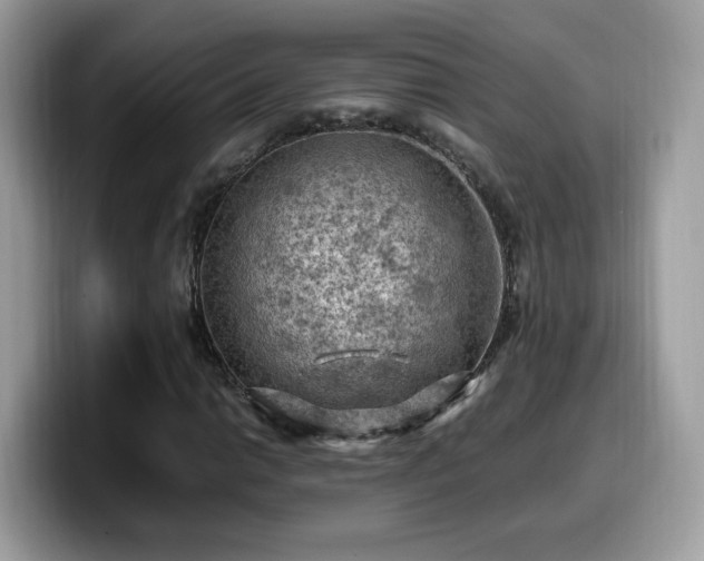 X0000099981014200805301349
