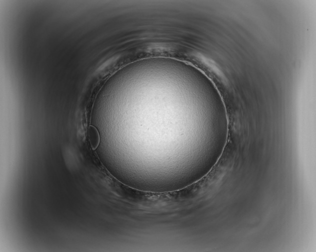 X0000099981015200805301349