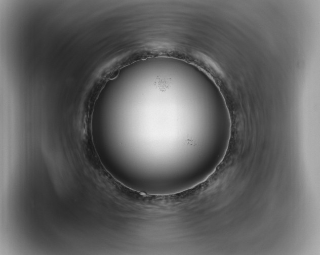 X0000099981016200805301349