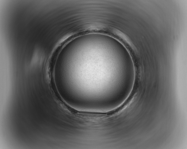 X0000099981018200805301349