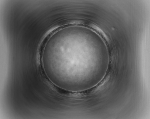 X0000099981019200805301349