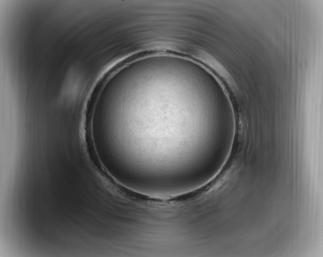 X0000099981020200805301349
