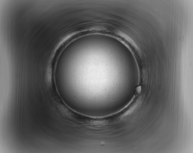X0000099981021200805301349