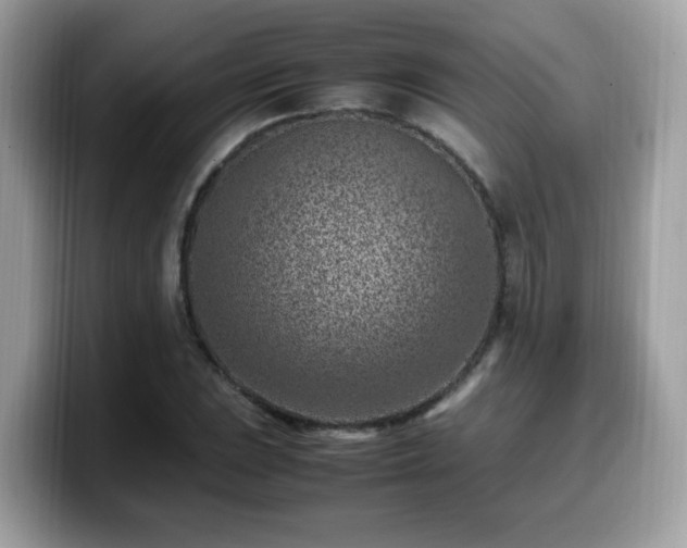 X0000099981023200805301349