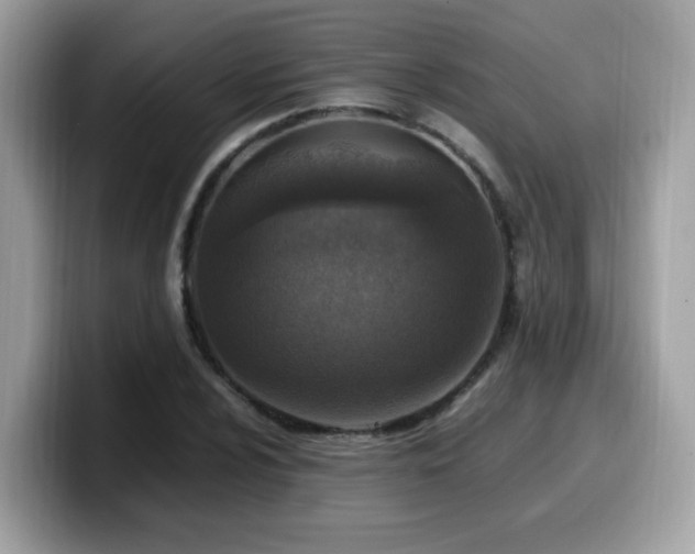 X0000099981024200805301349