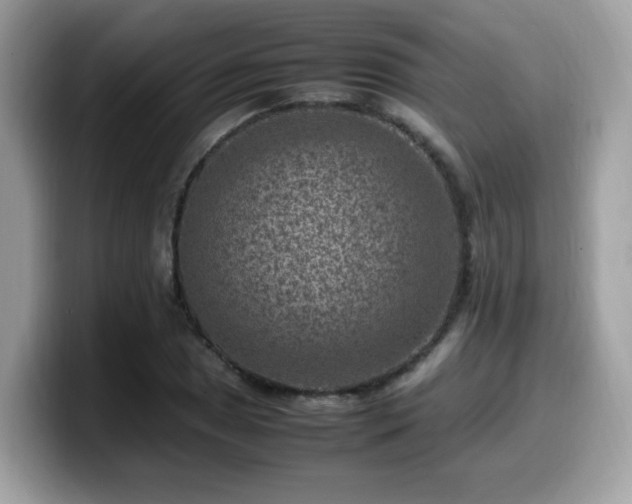 X0000099981025200805301349