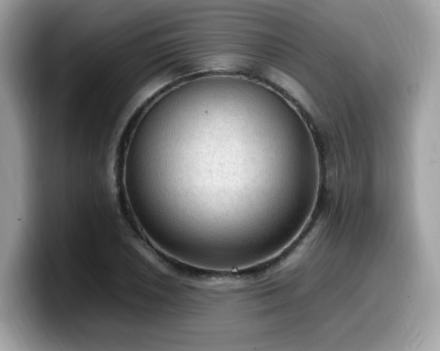 X0000099981026200805301349