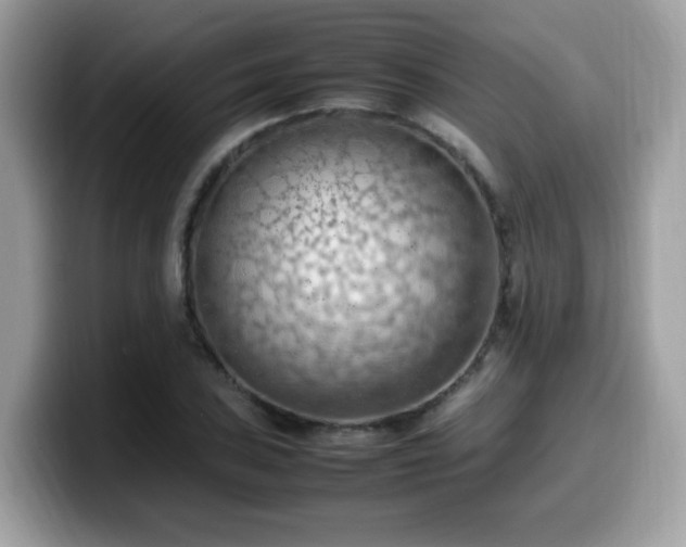 X0000099981027200805301349