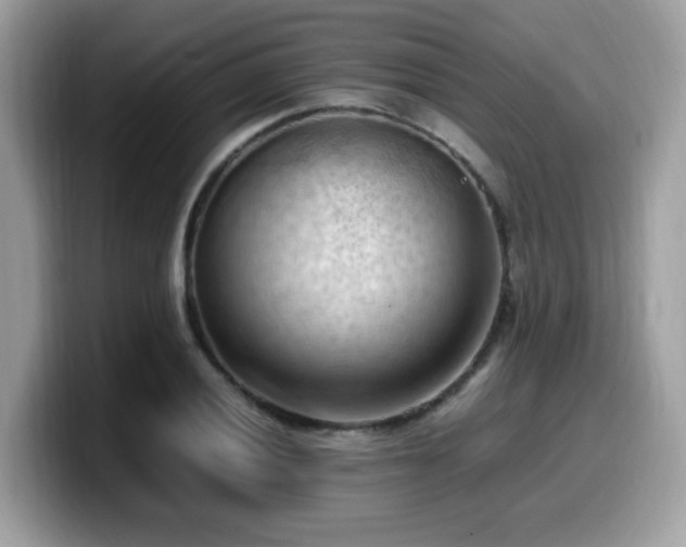 X0000099981028200805301349