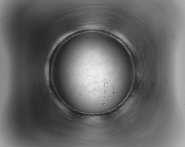 X0000099981030200805301349