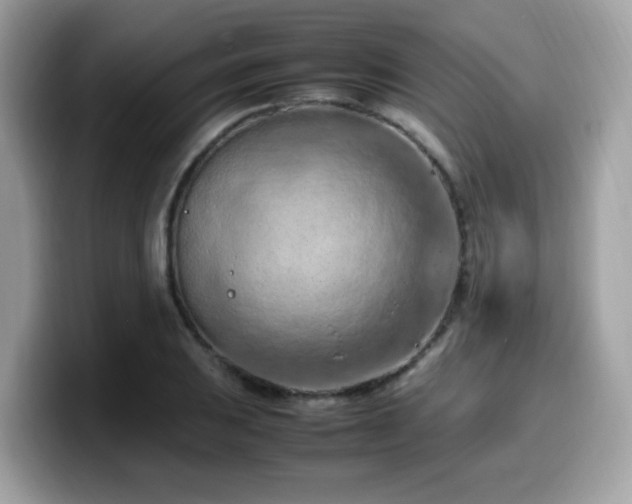 X0000099981031200805301349