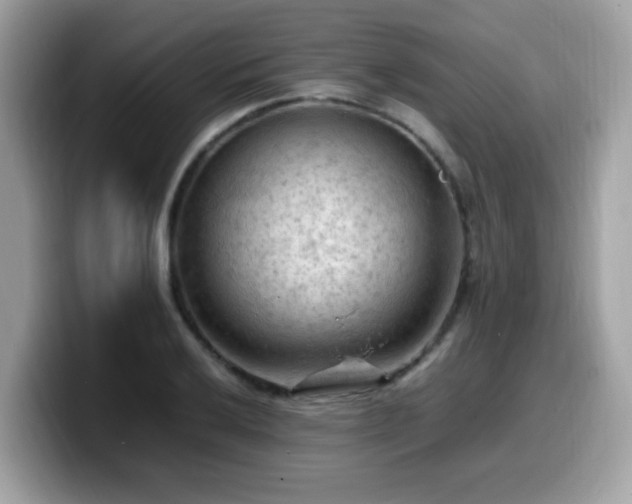 X0000099981032200805301349