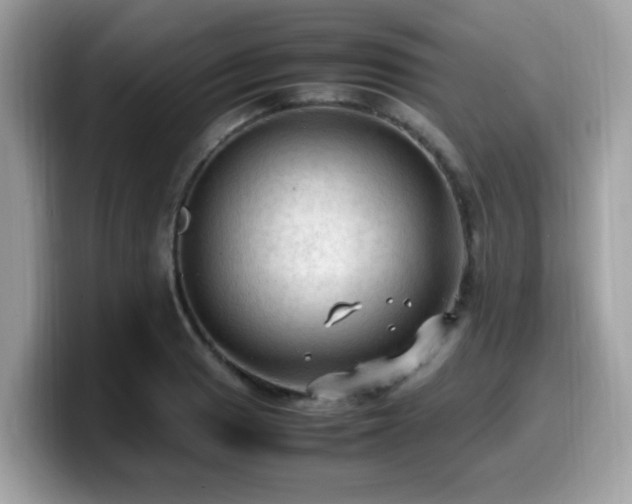 X0000099981033200805301349
