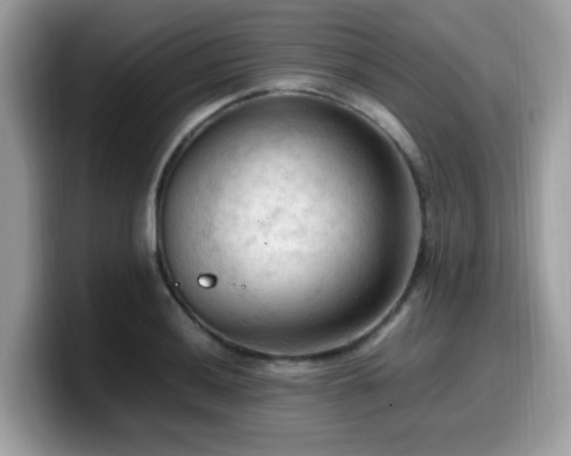X0000099981036200805301349