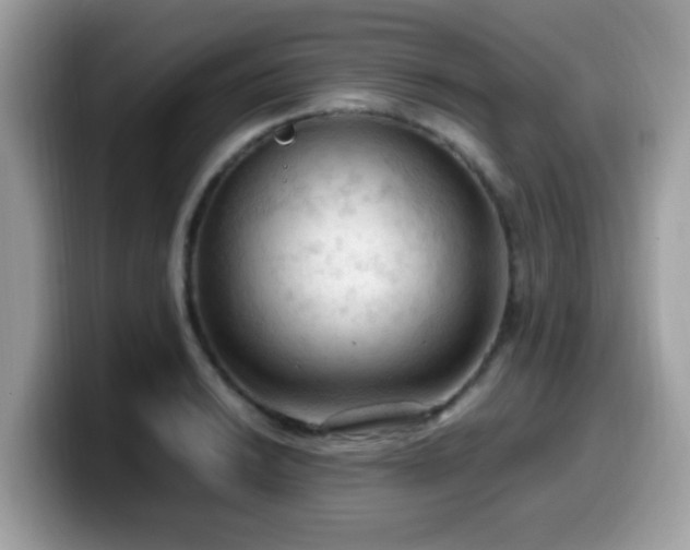X0000099981038200805301349
