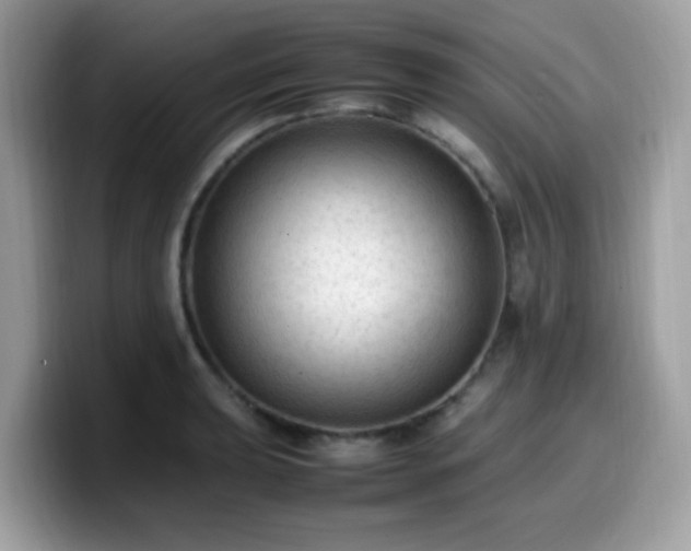 X0000099981039200805301349