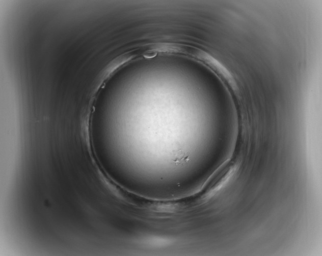 X0000099981041200805301349