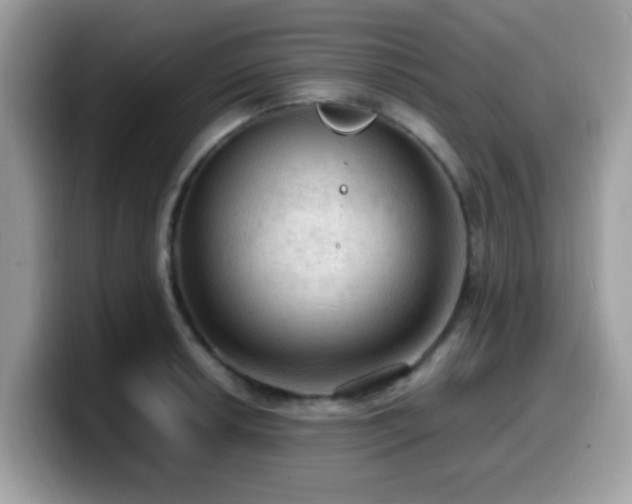 X0000099981042200805301349