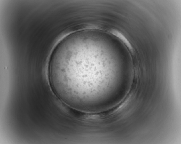 X0000099981043200805301349