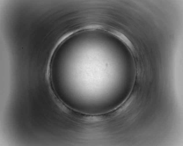 X0000099981044200805301349