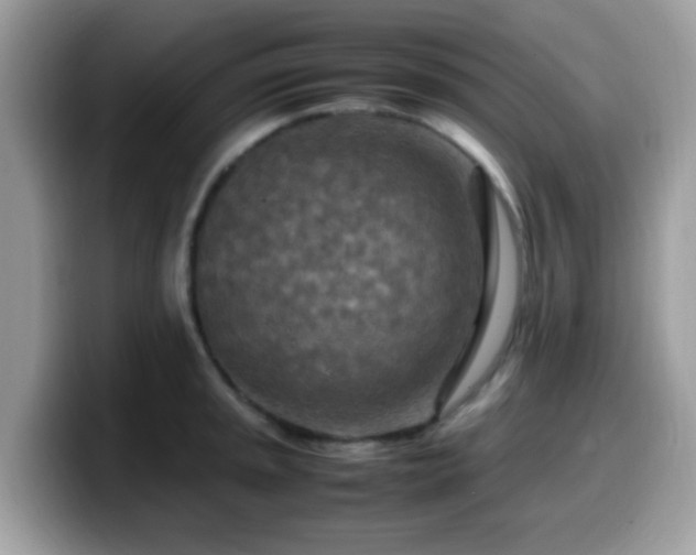 X0000099981045200805301349