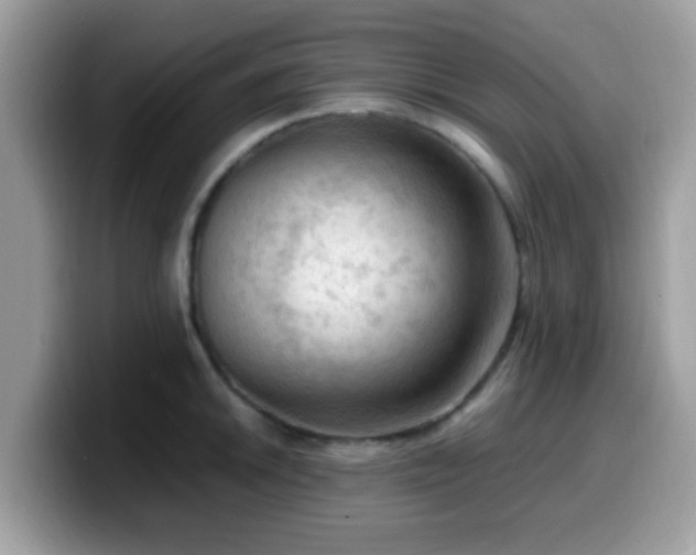 X0000099981046200805301349