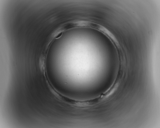 X0000099981049200805301349