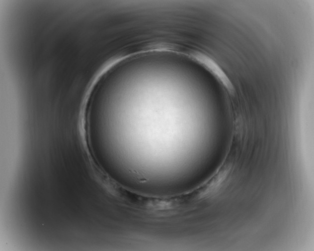X0000099981051200805301350