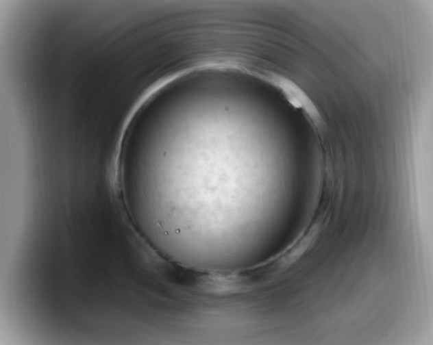 X0000099981052200805301350