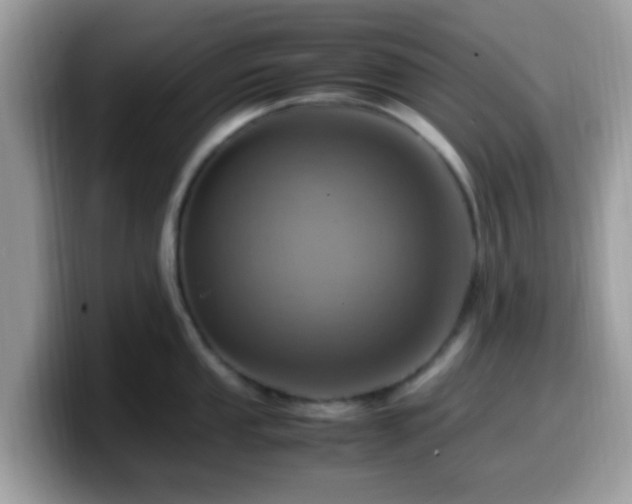 X0000099981053200805301350