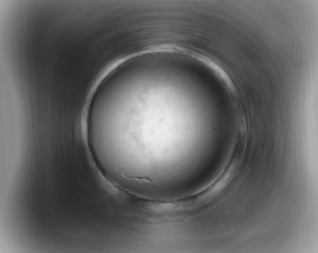 X0000099981054200805301350