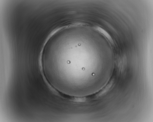 X0000099981055200805301350