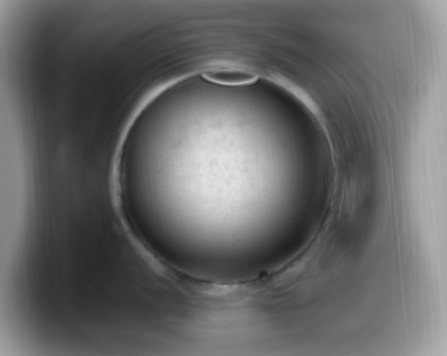 X0000099981056200805301350