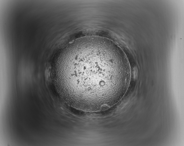 X0000099981059200805301349