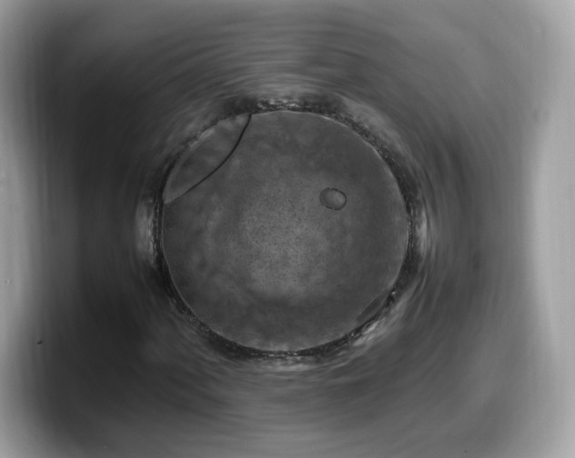 X0000099981060200805301349