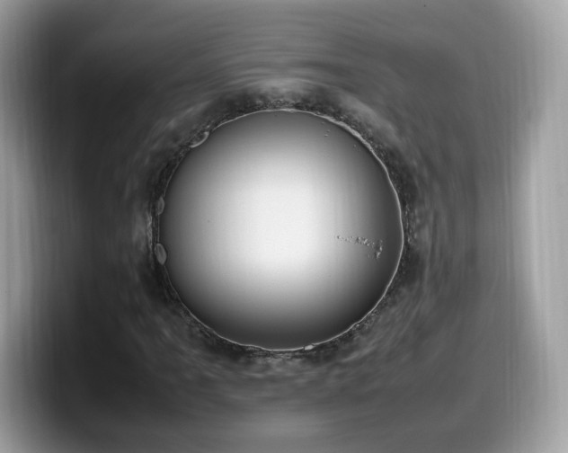 X0000099981061200805301349