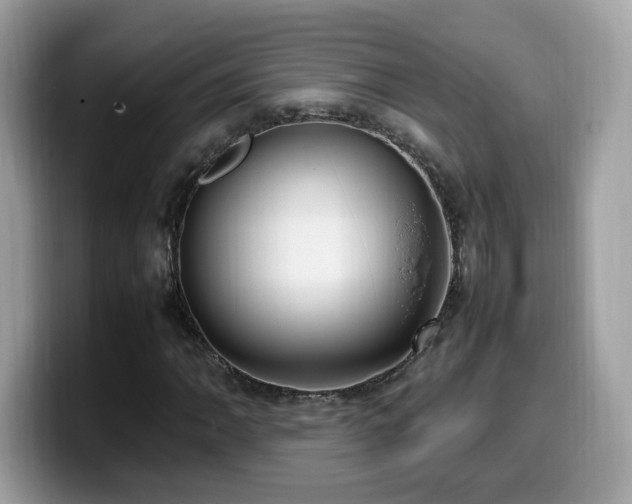 X0000099981062200805301349