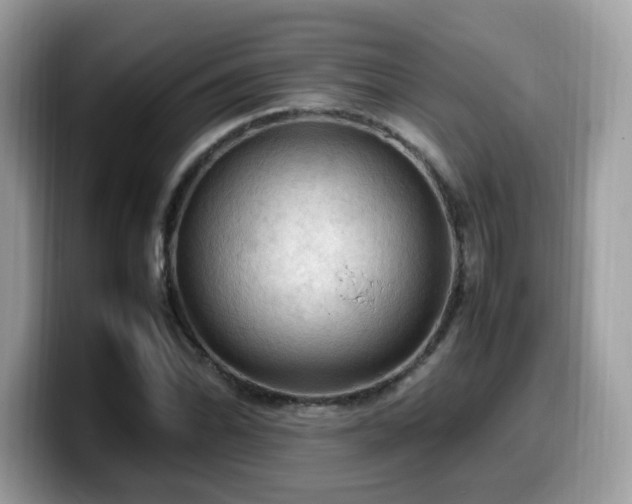 X0000099981070200805301349