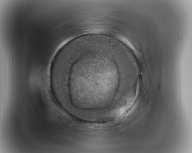 X0000099981071200805301349