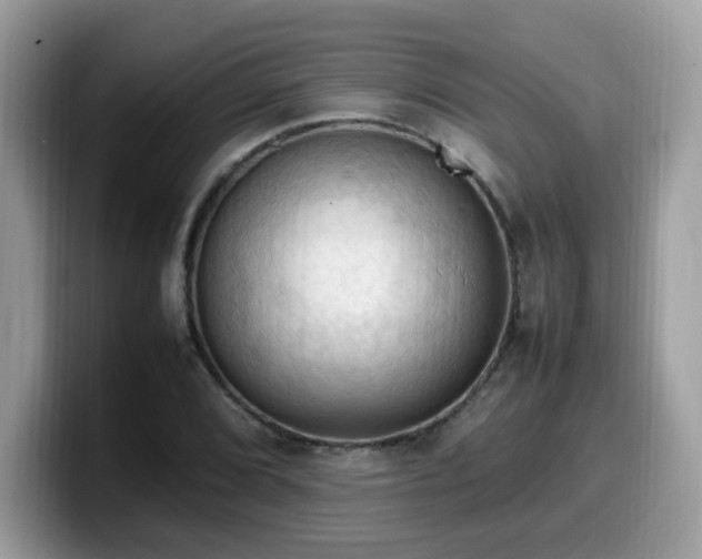 X0000099981072200805301349