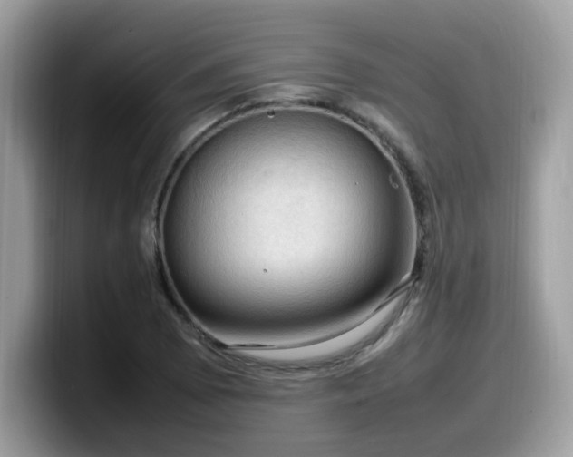 X0000099981073200805301349