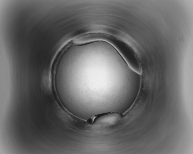 X0000099981076200805301349