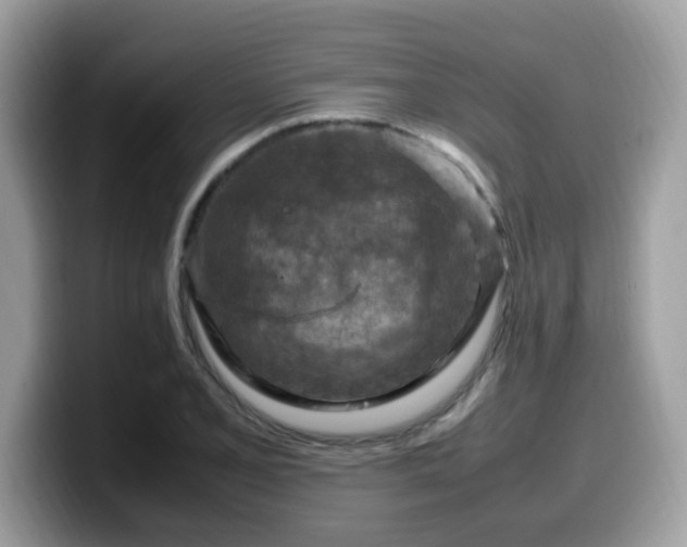X0000099981077200805301349