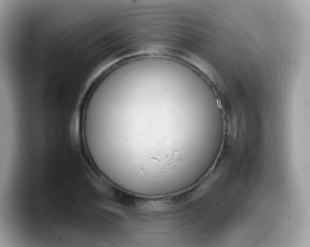 X0000099981078200805301349