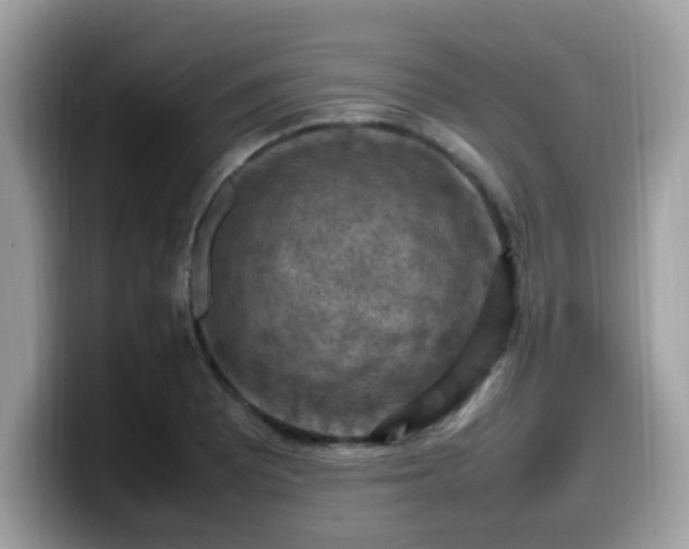 X0000099981081200805301349