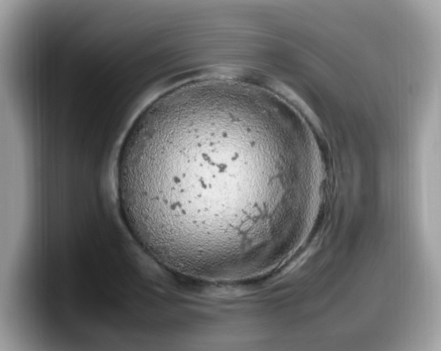 X0000099981083200805301349