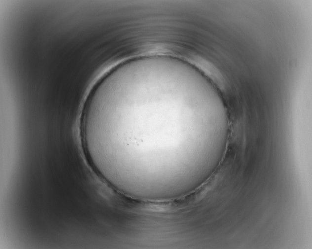 X0000099981086200805301349