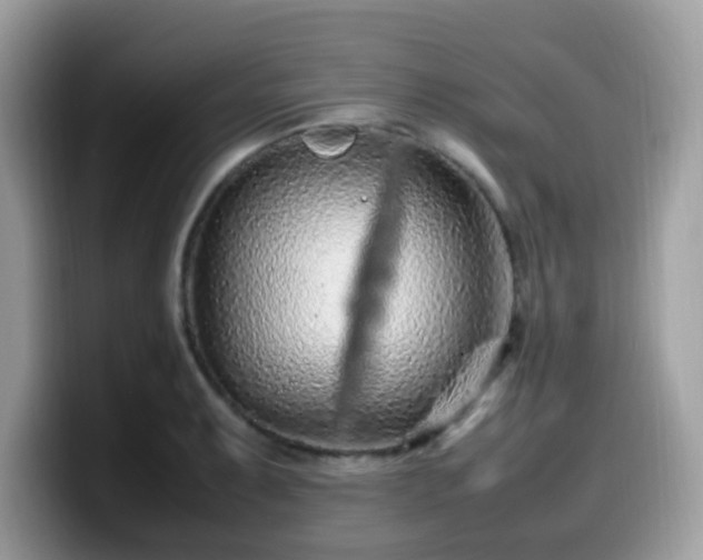 X0000099981087200805301349