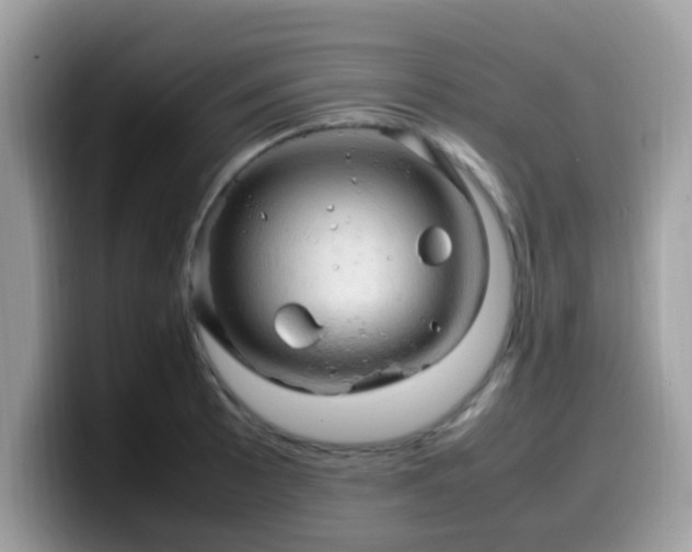 X0000099981089200805301349